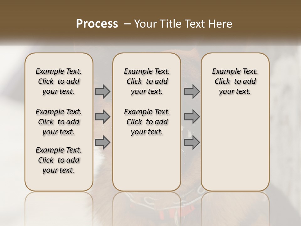 A German Shepard Dog With His Mouth Open In The Snow PowerPoint Template