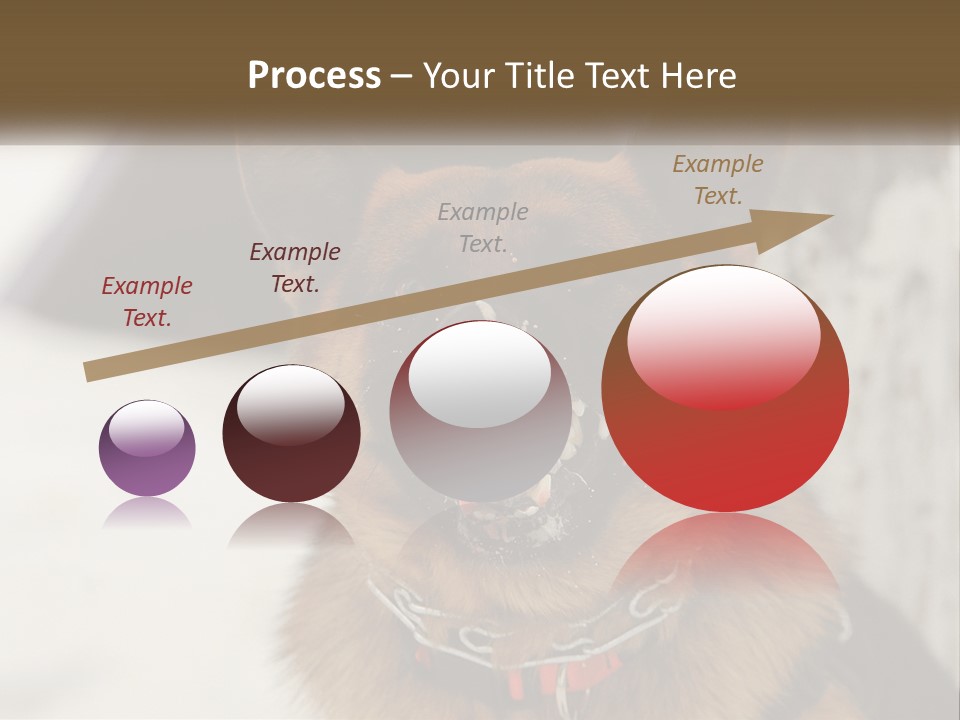 A German Shepard Dog With His Mouth Open In The Snow PowerPoint Template