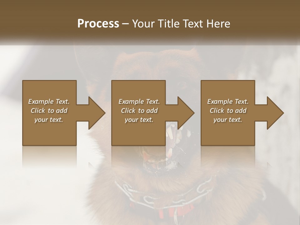 A German Shepard Dog With His Mouth Open In The Snow PowerPoint Template