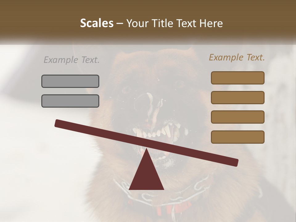 A German Shepard Dog With His Mouth Open In The Snow PowerPoint Template