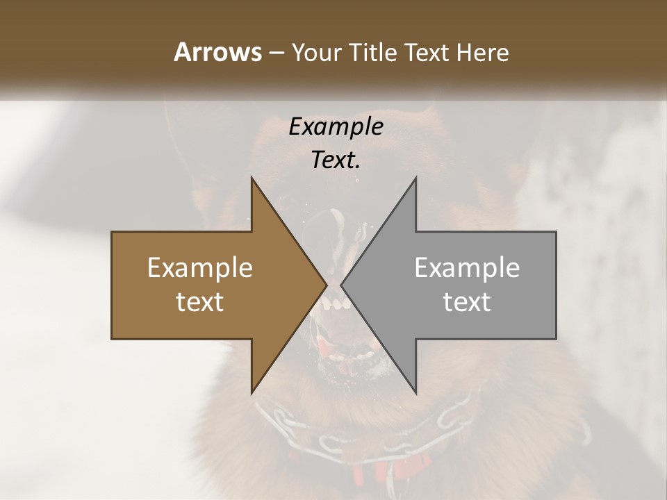 A German Shepard Dog With His Mouth Open In The Snow PowerPoint Template