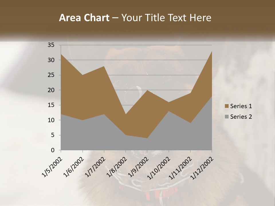 A German Shepard Dog With His Mouth Open In The Snow PowerPoint Template