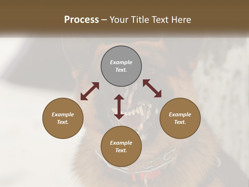 A German Shepard Dog With His Mouth Open In The Snow PowerPoint Template