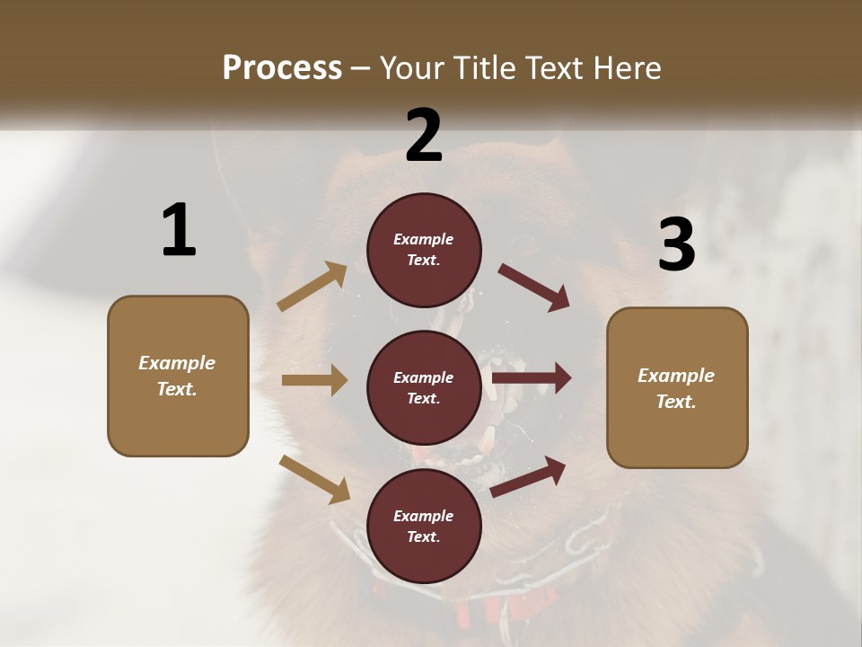 A German Shepard Dog With His Mouth Open In The Snow PowerPoint Template