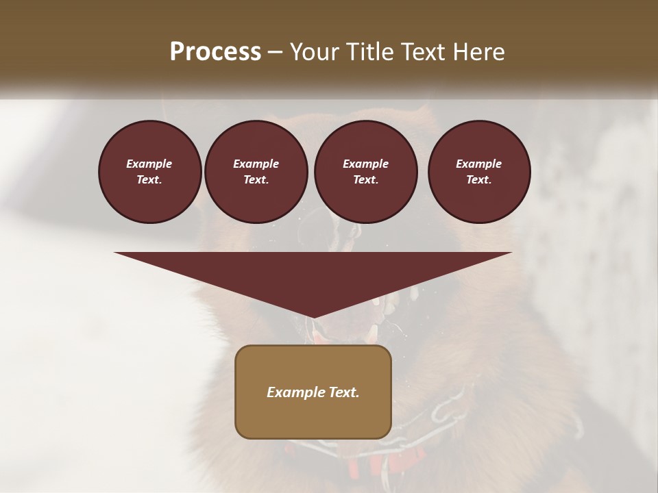 A German Shepard Dog With His Mouth Open In The Snow PowerPoint Template