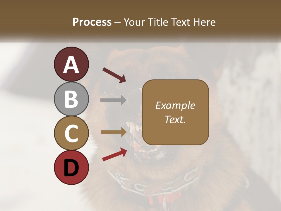 A German Shepard Dog With His Mouth Open In The Snow PowerPoint Template