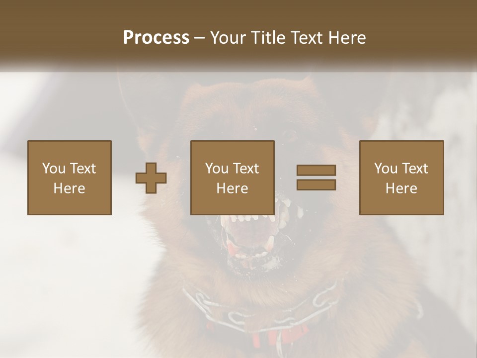 A German Shepard Dog With His Mouth Open In The Snow PowerPoint Template