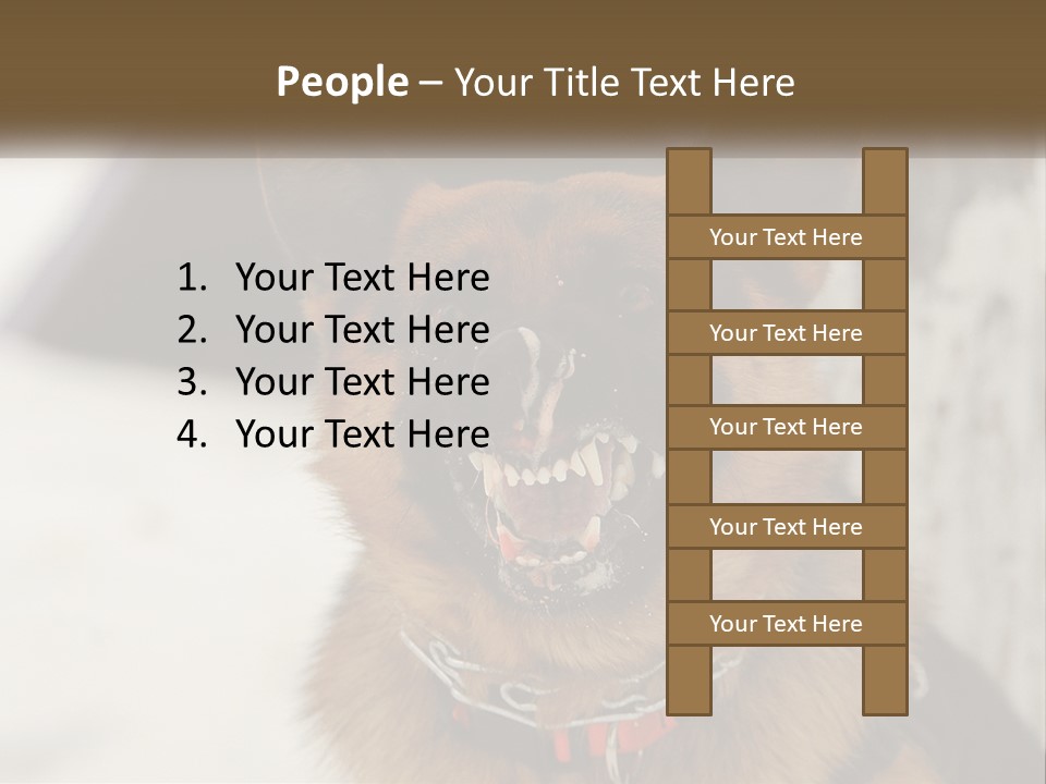 A German Shepard Dog With His Mouth Open In The Snow PowerPoint Template