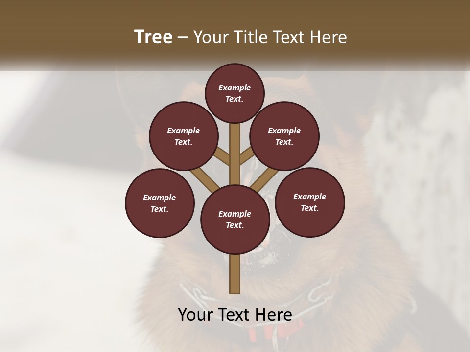 A German Shepard Dog With His Mouth Open In The Snow PowerPoint Template