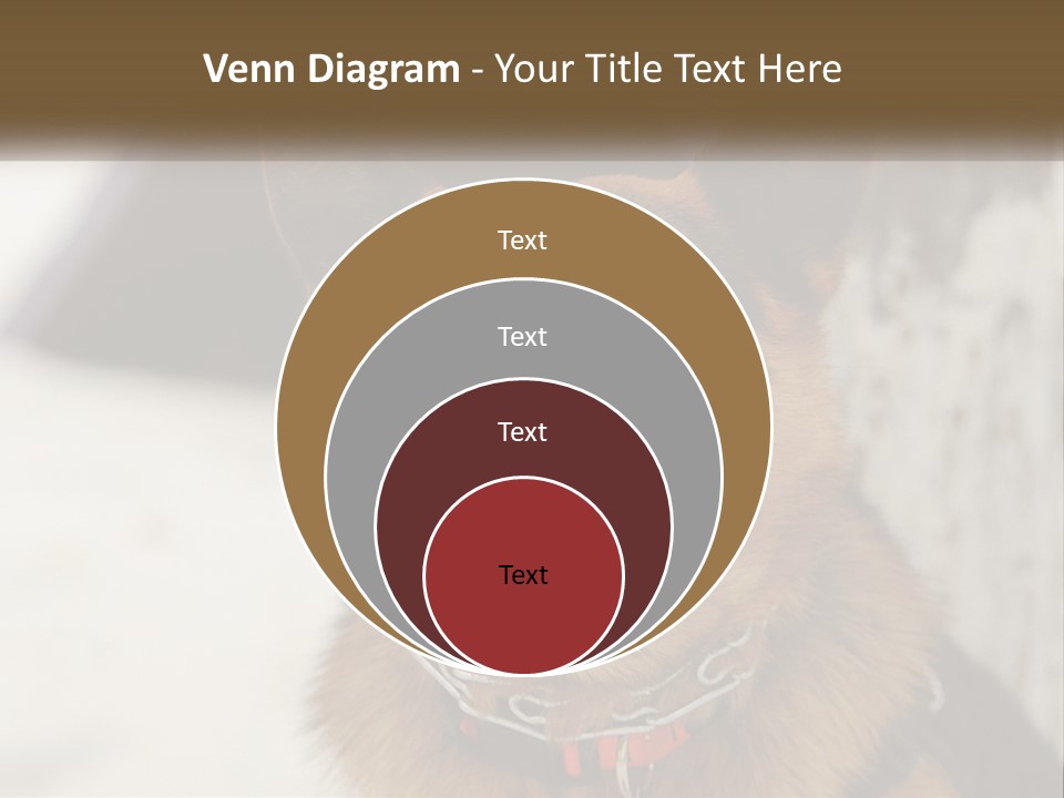 A German Shepard Dog With His Mouth Open In The Snow PowerPoint Template