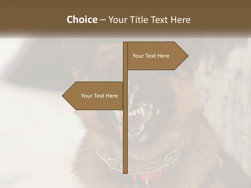 A German Shepard Dog With His Mouth Open In The Snow PowerPoint Template