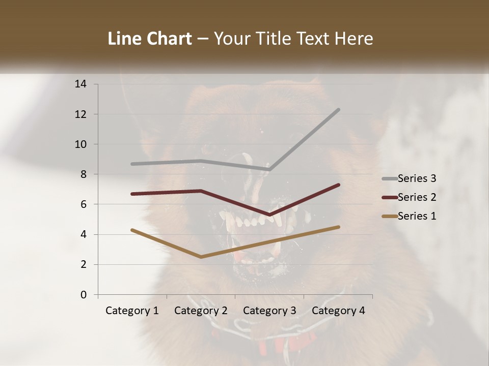 A German Shepard Dog With His Mouth Open In The Snow PowerPoint Template