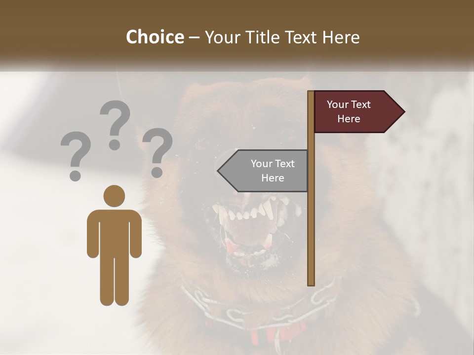 A German Shepard Dog With His Mouth Open In The Snow PowerPoint Template