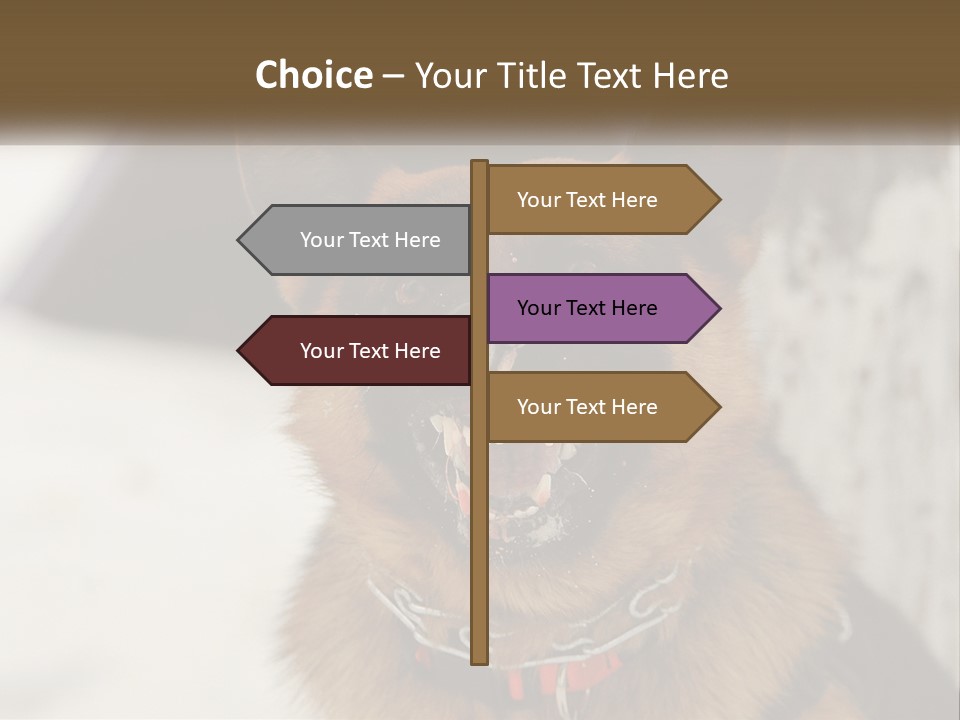 A German Shepard Dog With His Mouth Open In The Snow PowerPoint Template