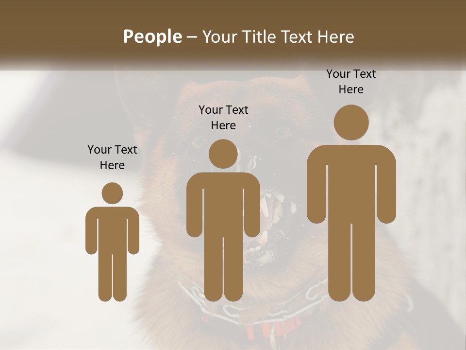 A German Shepard Dog With His Mouth Open In The Snow PowerPoint Template