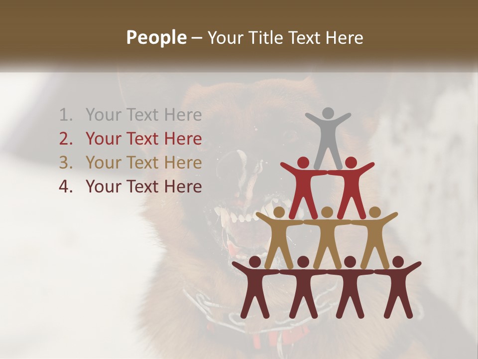 A German Shepard Dog With His Mouth Open In The Snow PowerPoint Template