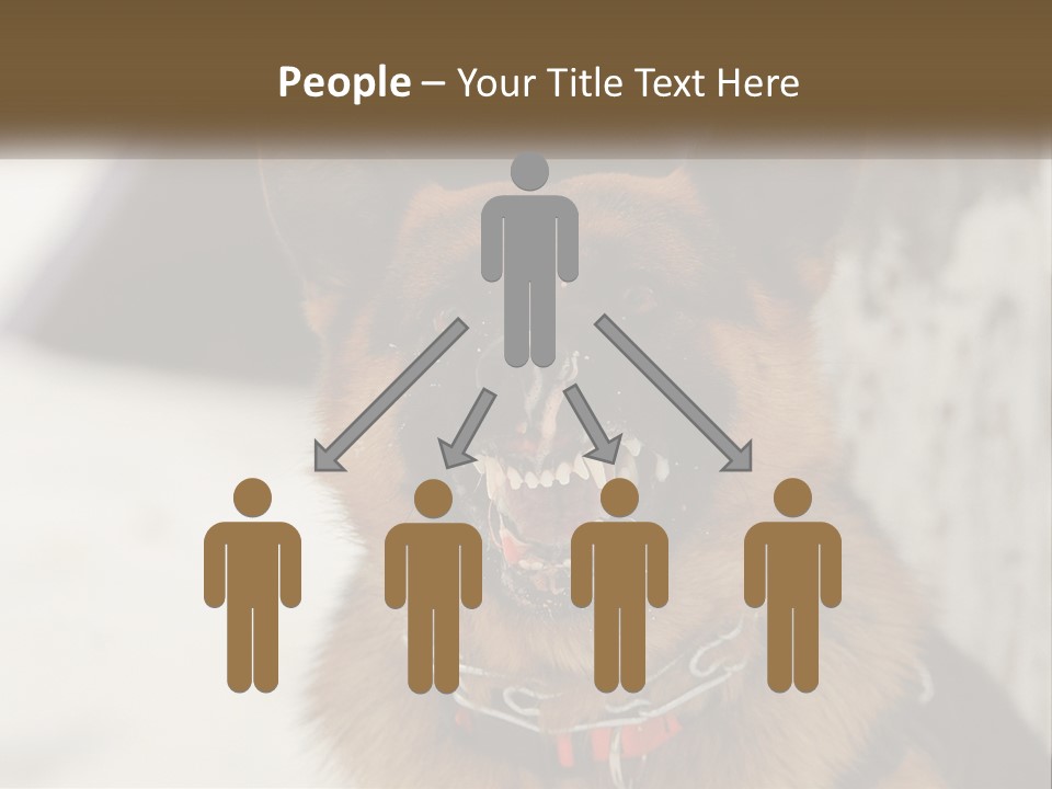 A German Shepard Dog With His Mouth Open In The Snow PowerPoint Template