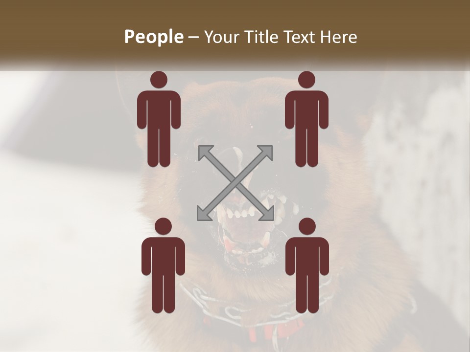 A German Shepard Dog With His Mouth Open In The Snow PowerPoint Template