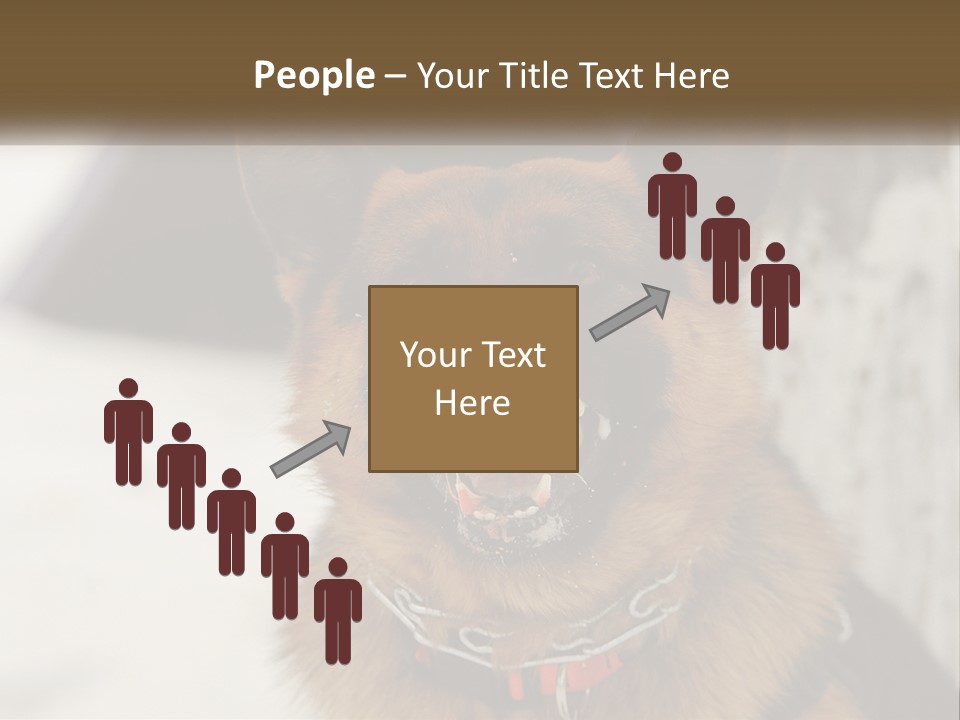 A German Shepard Dog With His Mouth Open In The Snow PowerPoint Template