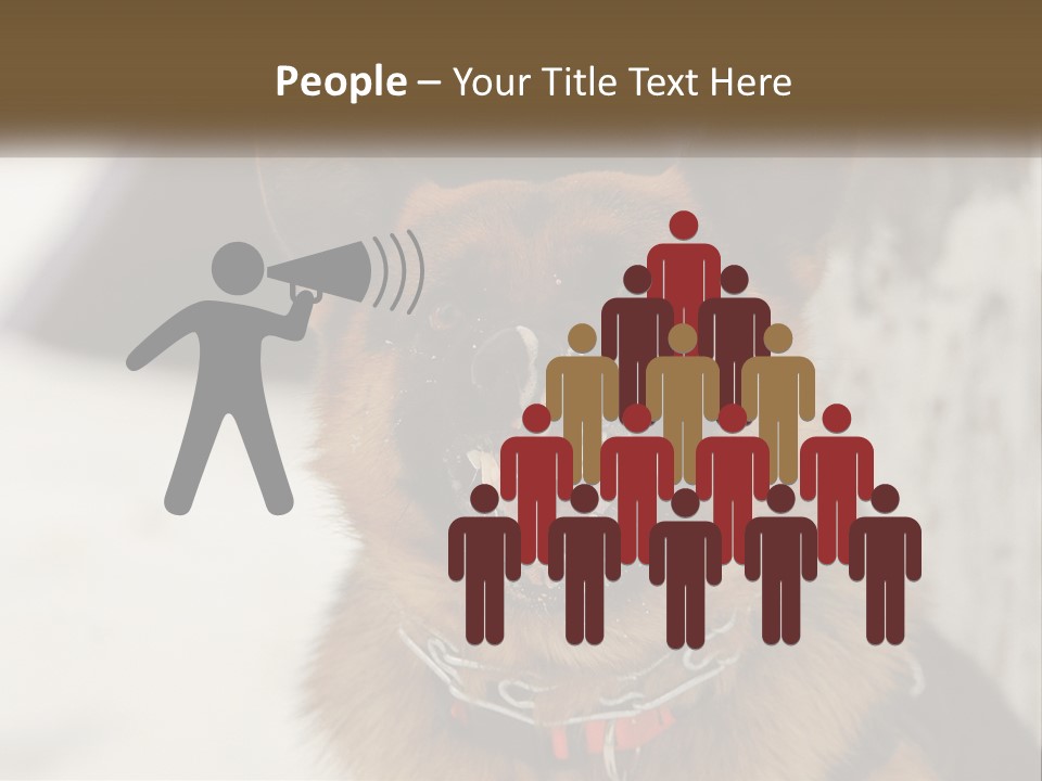 A German Shepard Dog With His Mouth Open In The Snow PowerPoint Template