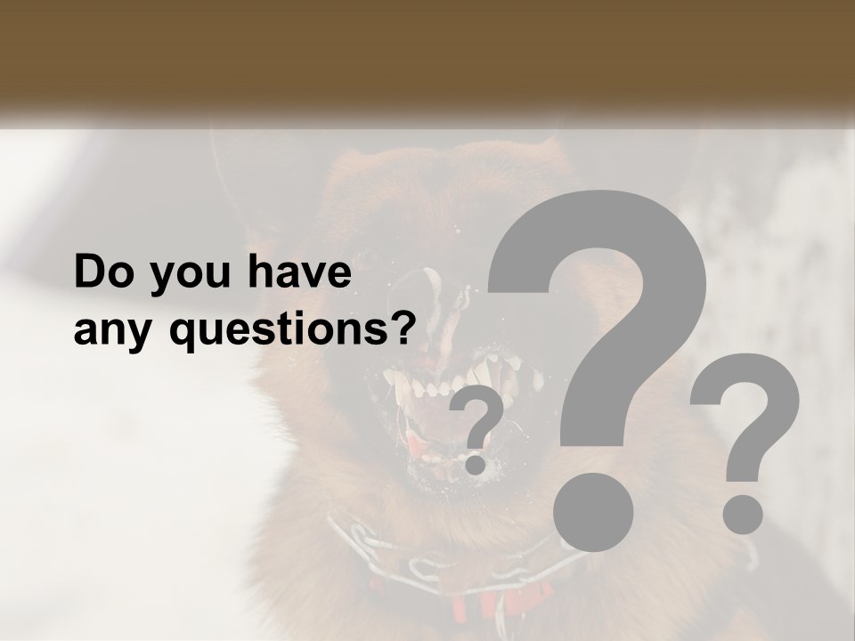 A German Shepard Dog With His Mouth Open In The Snow PowerPoint Template