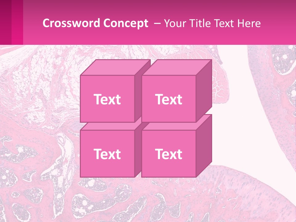 An Image Of A Section Of The Stomach With The Name Of The Organ PowerPoint Template