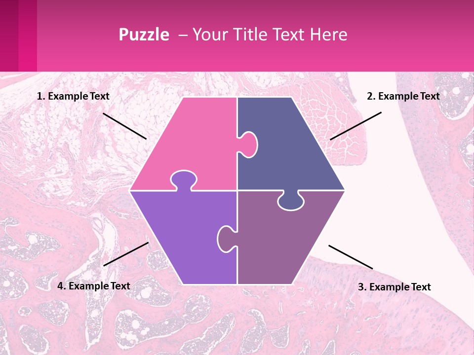 An Image Of A Section Of The Stomach With The Name Of The Organ PowerPoint Template