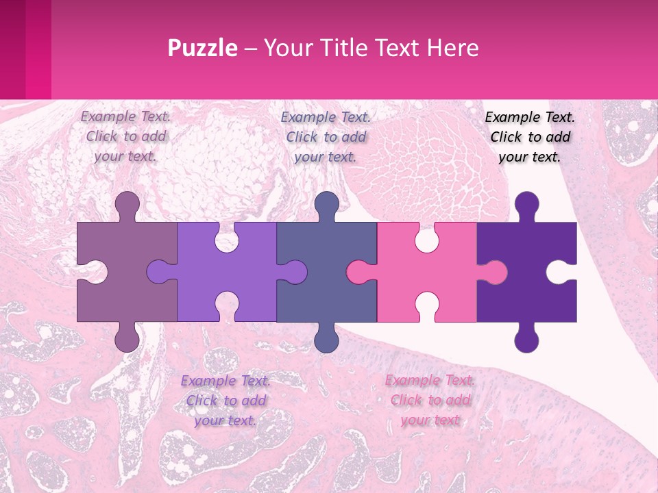 An Image Of A Section Of The Stomach With The Name Of The Organ PowerPoint Template