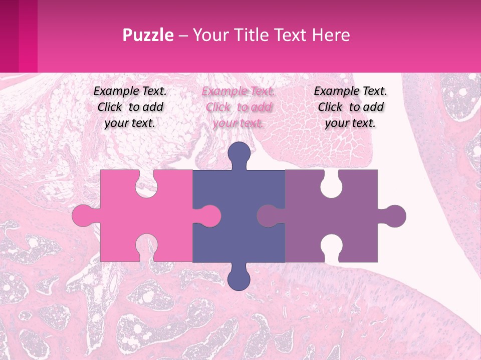 An Image Of A Section Of The Stomach With The Name Of The Organ PowerPoint Template