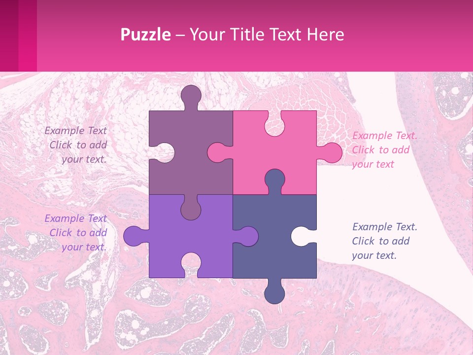 An Image Of A Section Of The Stomach With The Name Of The Organ PowerPoint Template