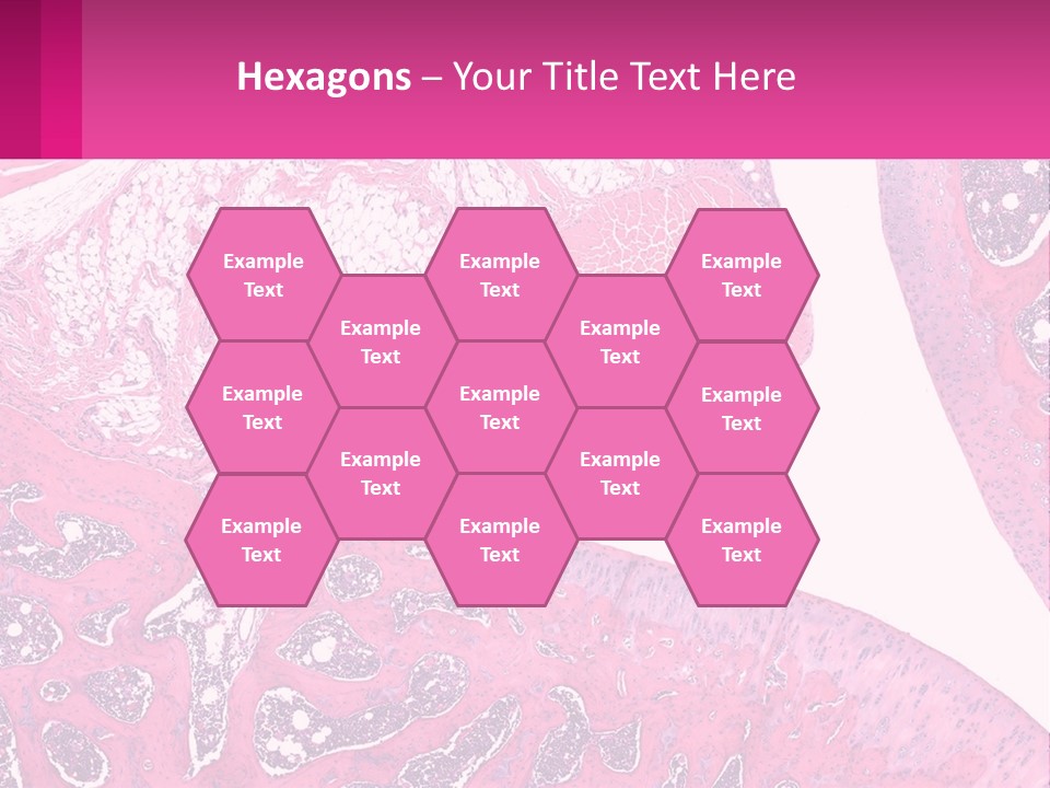 An Image Of A Section Of The Stomach With The Name Of The Organ PowerPoint Template