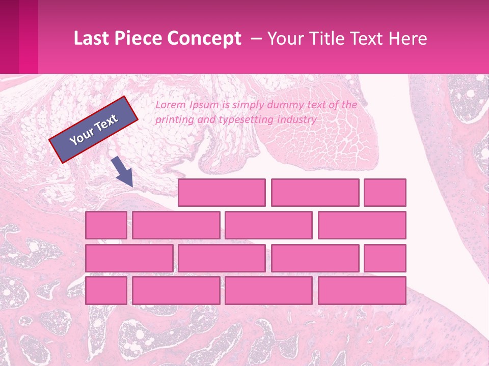 An Image Of A Section Of The Stomach With The Name Of The Organ PowerPoint Template