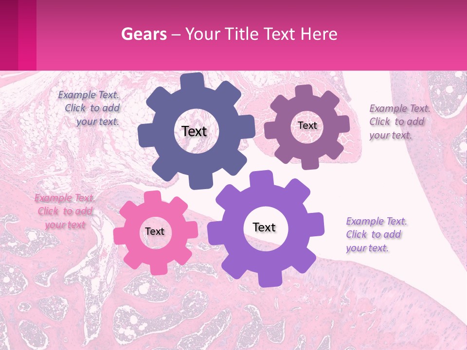 An Image Of A Section Of The Stomach With The Name Of The Organ PowerPoint Template