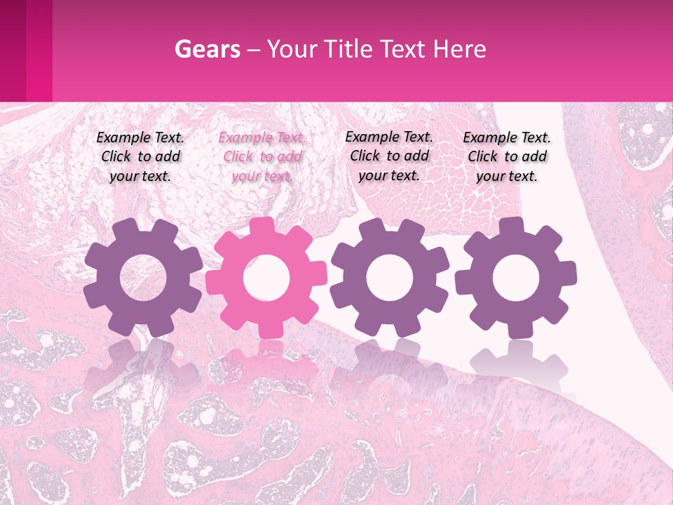 An Image Of A Section Of The Stomach With The Name Of The Organ PowerPoint Template