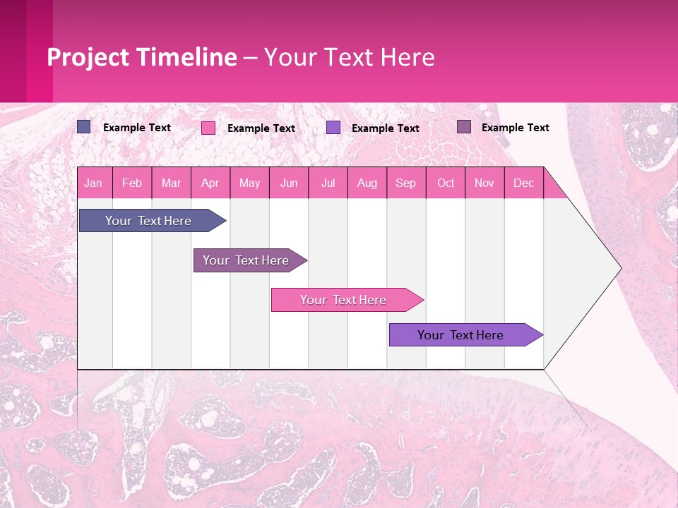 An Image Of A Section Of The Stomach With The Name Of The Organ PowerPoint Template