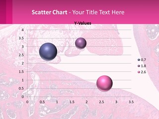 An Image Of A Section Of The Stomach With The Name Of The Organ PowerPoint Template