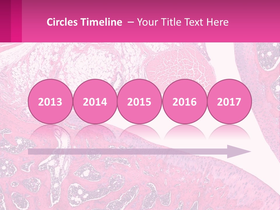 An Image Of A Section Of The Stomach With The Name Of The Organ PowerPoint Template