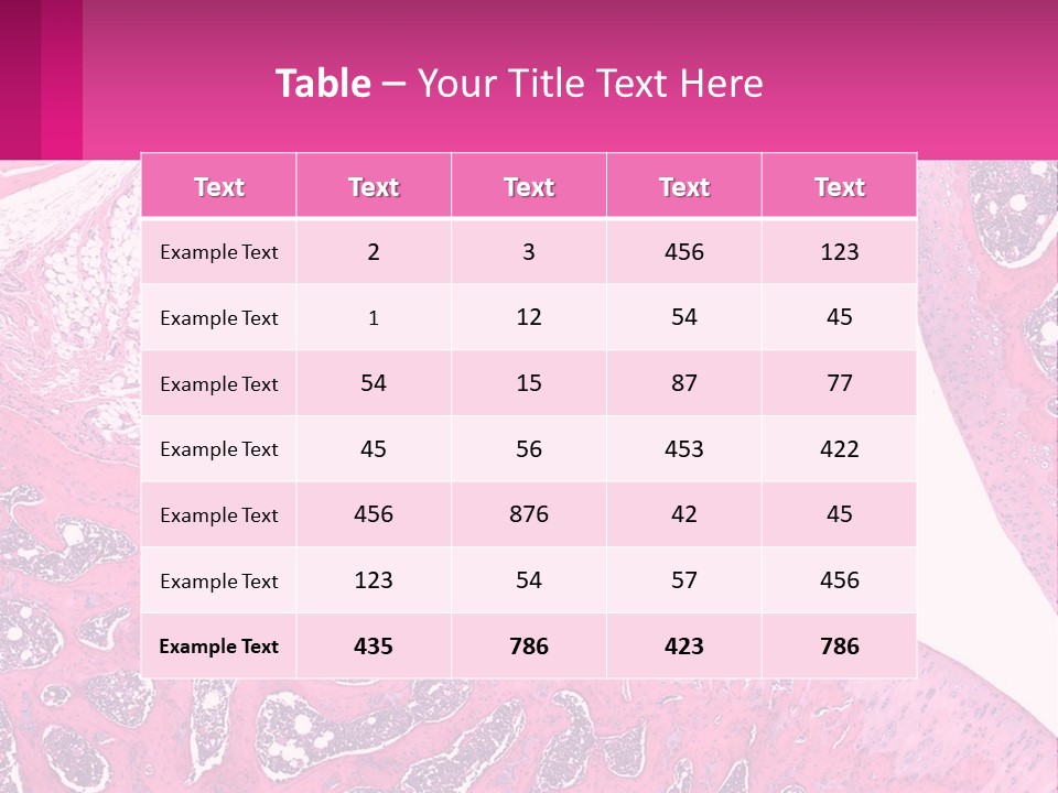 An Image Of A Section Of The Stomach With The Name Of The Organ PowerPoint Template