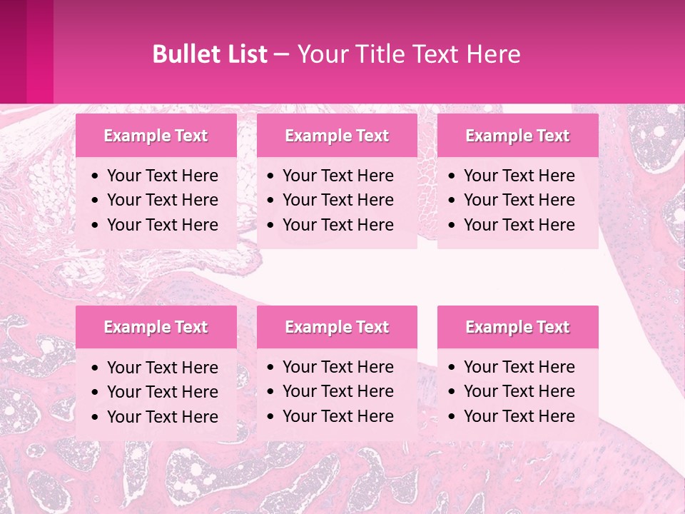An Image Of A Section Of The Stomach With The Name Of The Organ PowerPoint Template