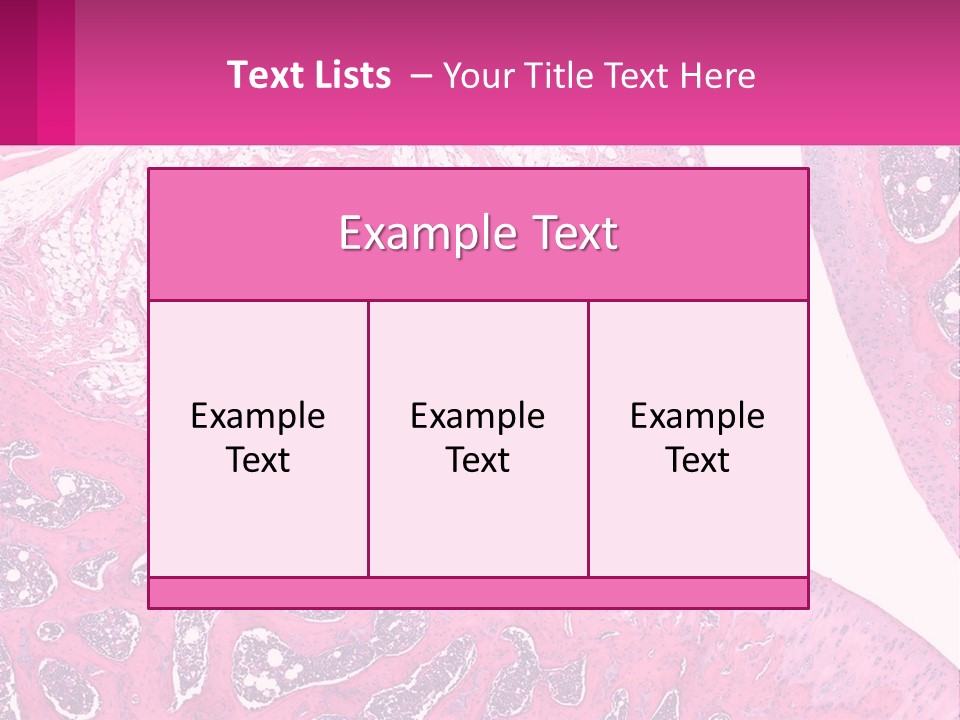 An Image Of A Section Of The Stomach With The Name Of The Organ PowerPoint Template