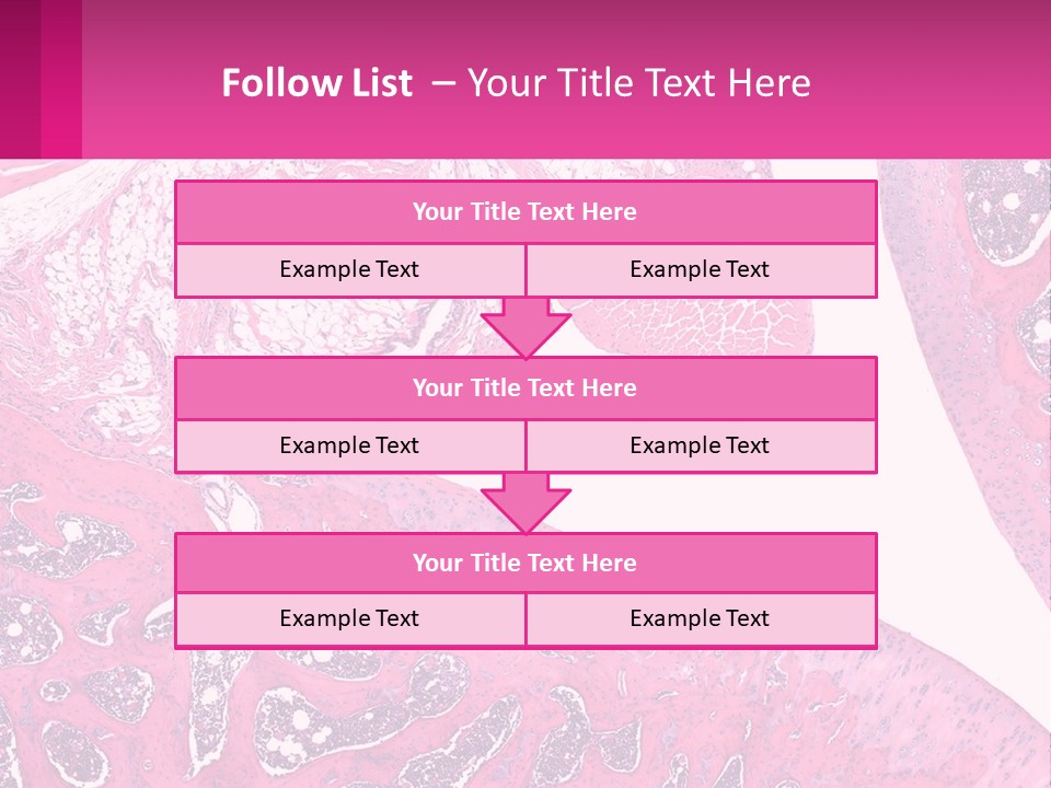An Image Of A Section Of The Stomach With The Name Of The Organ PowerPoint Template