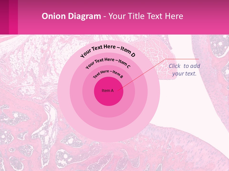 An Image Of A Section Of The Stomach With The Name Of The Organ PowerPoint Template