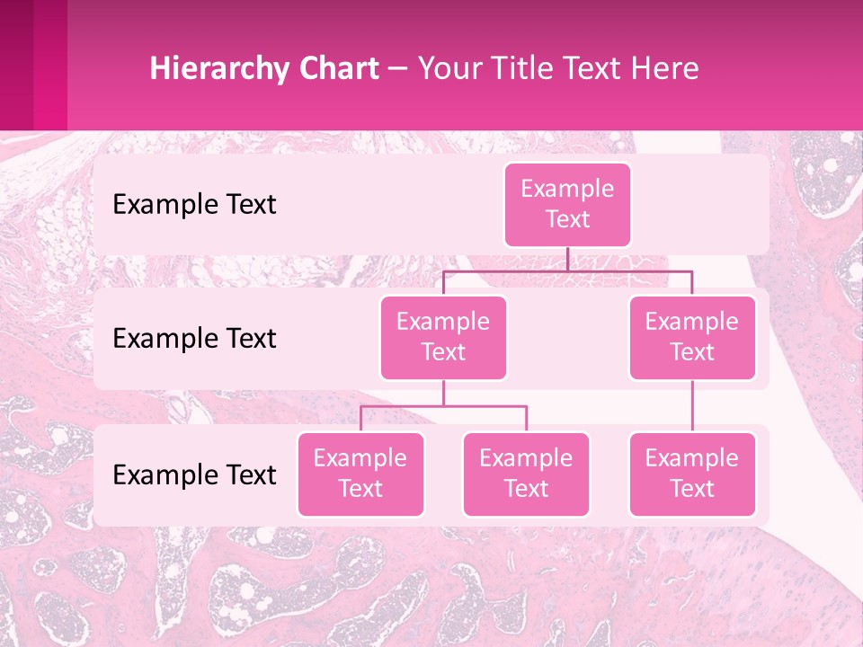 An Image Of A Section Of The Stomach With The Name Of The Organ PowerPoint Template