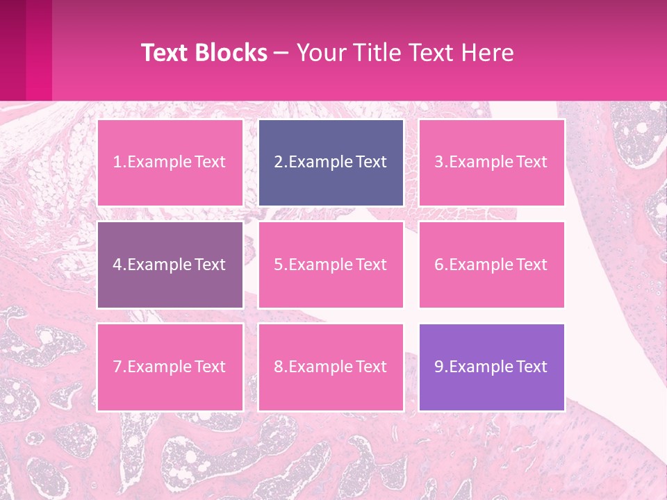 An Image Of A Section Of The Stomach With The Name Of The Organ PowerPoint Template