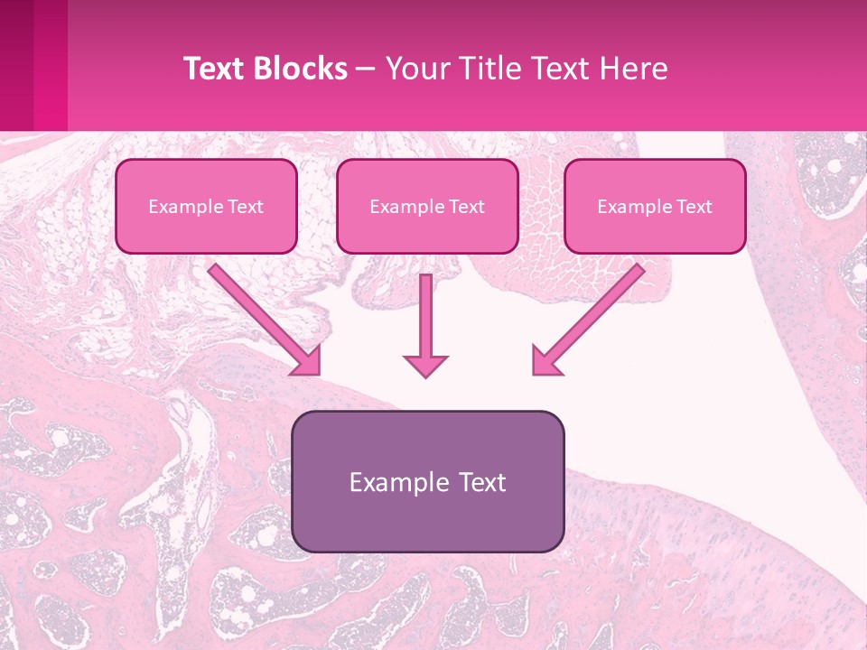 An Image Of A Section Of The Stomach With The Name Of The Organ PowerPoint Template