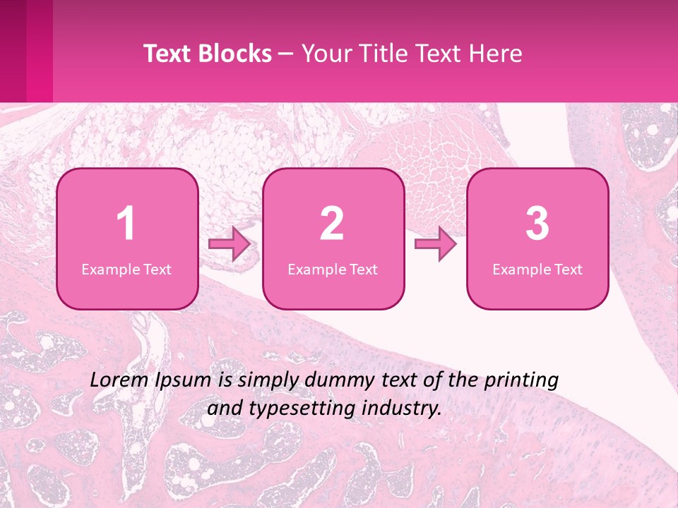 An Image Of A Section Of The Stomach With The Name Of The Organ PowerPoint Template