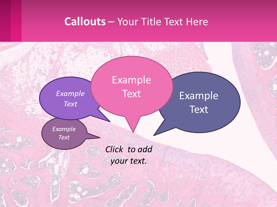 An Image Of A Section Of The Stomach With The Name Of The Organ PowerPoint Template