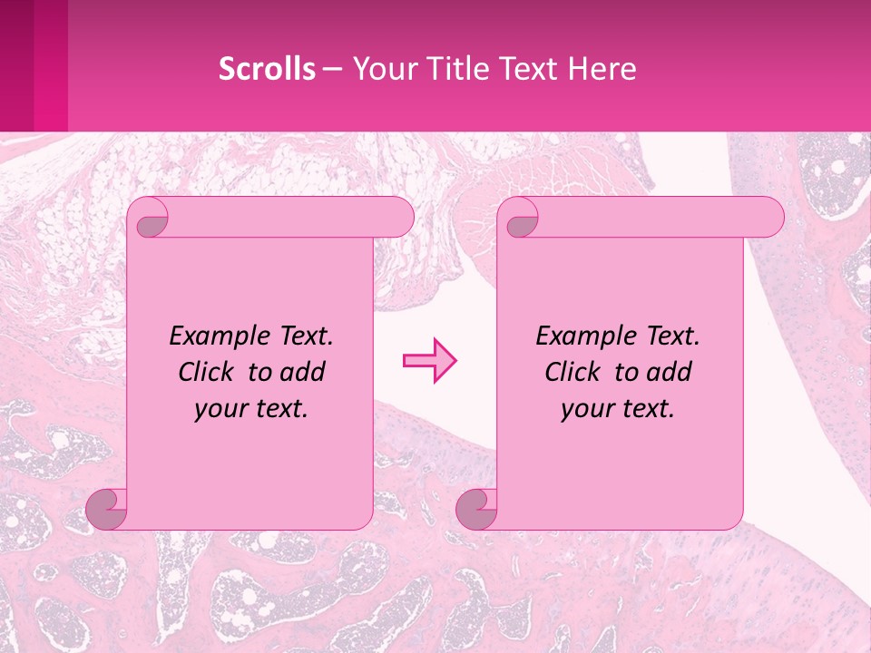 An Image Of A Section Of The Stomach With The Name Of The Organ PowerPoint Template