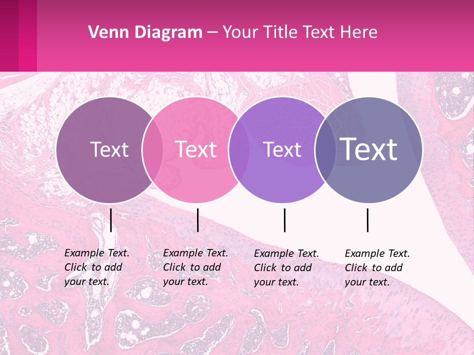 An Image Of A Section Of The Stomach With The Name Of The Organ PowerPoint Template