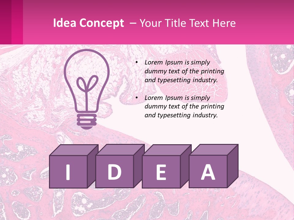 An Image Of A Section Of The Stomach With The Name Of The Organ PowerPoint Template